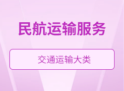 民航運輸服務(wù)