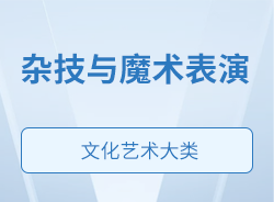 雜技與魔術表演